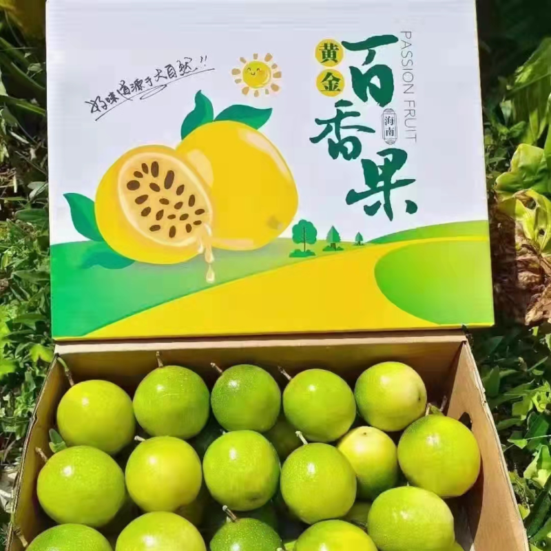 百香果，海南三亚百香果，一件代发电商微商代发