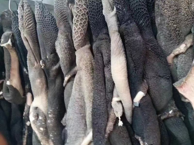 熟牛肚工厂直销一件起批发