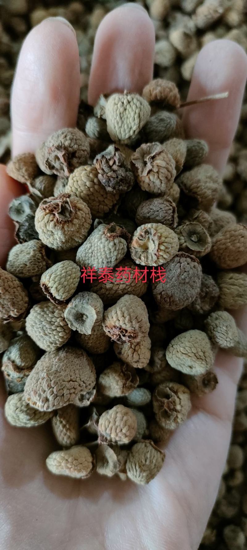 《热销》覆盆子（祥泰药材栈）产地大货中药材批发零售