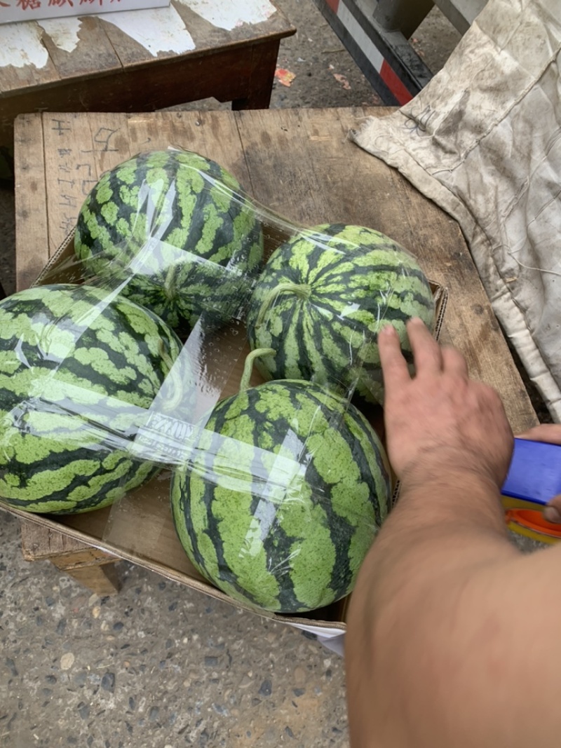 大量西瓜产地，供应，电商瓜，市场瓜，社区团购，美团等平台