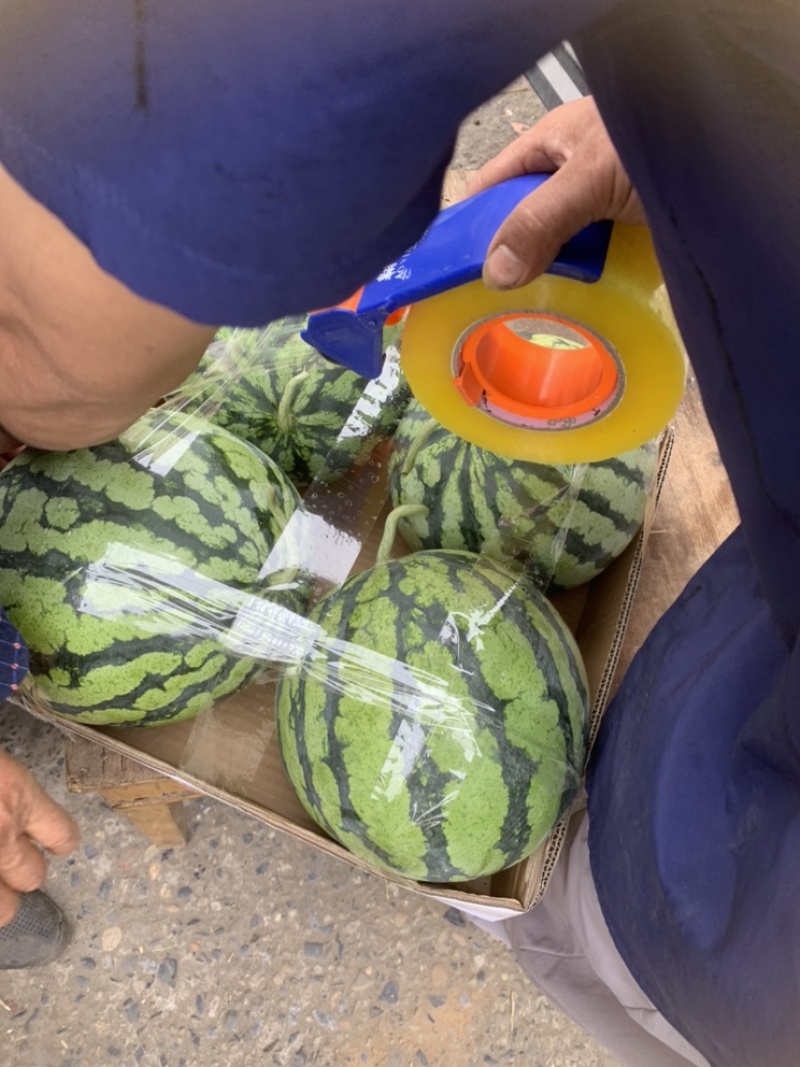 大量西瓜产地，供应，电商瓜，市场瓜，社区团购，美团等平台