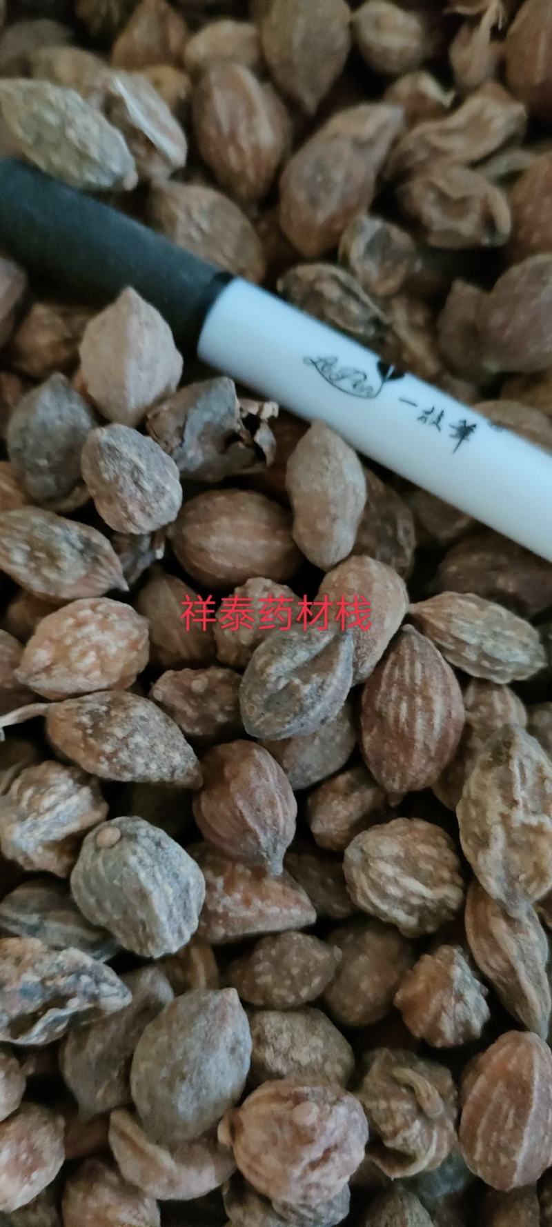 《热销》益智仁（祥泰药材栈）中药材批发零售薄利多销实体店