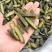 精品南极海茸基地直供一手货源品质保证诚信经营欢迎采购