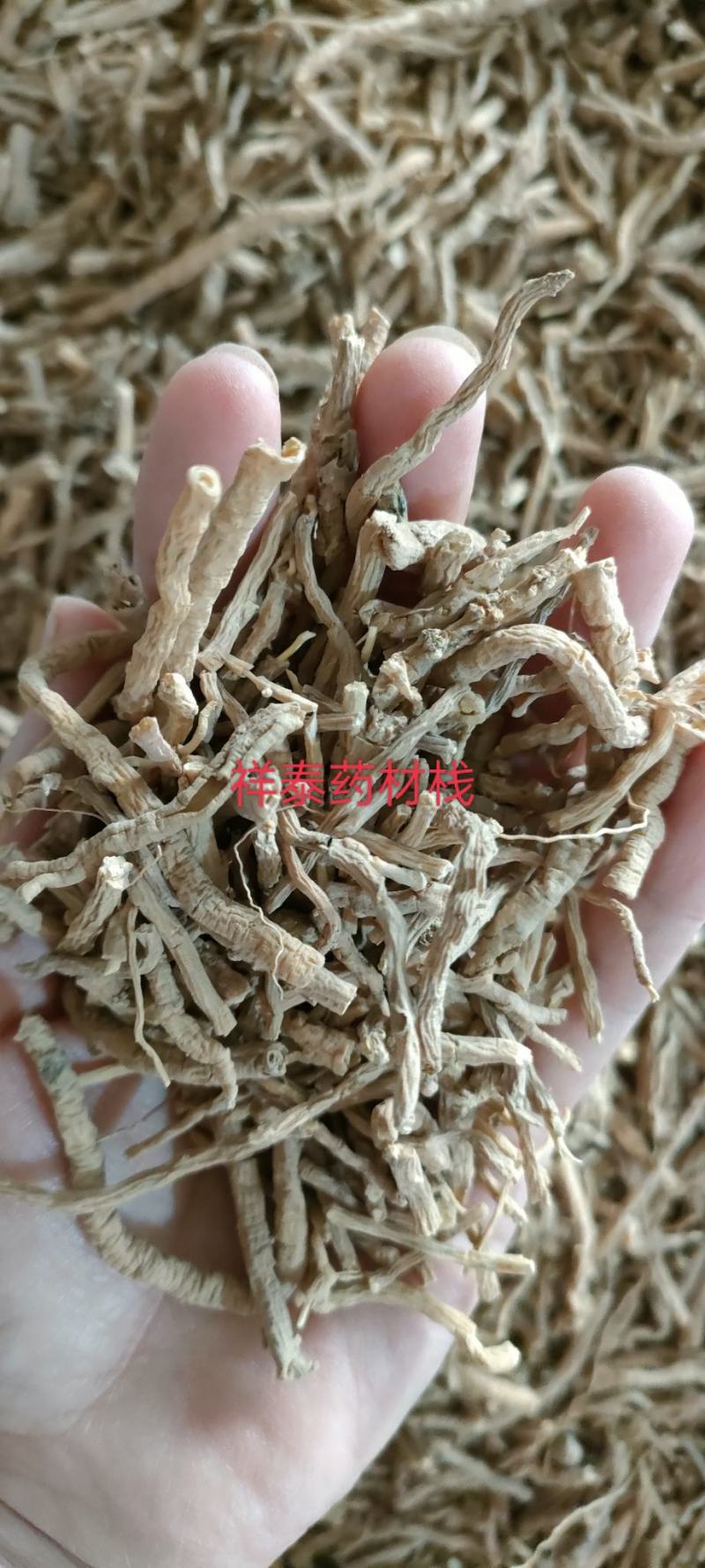 《热销》远志抽芯率20%（祥泰药材栈）中药材批发零售
