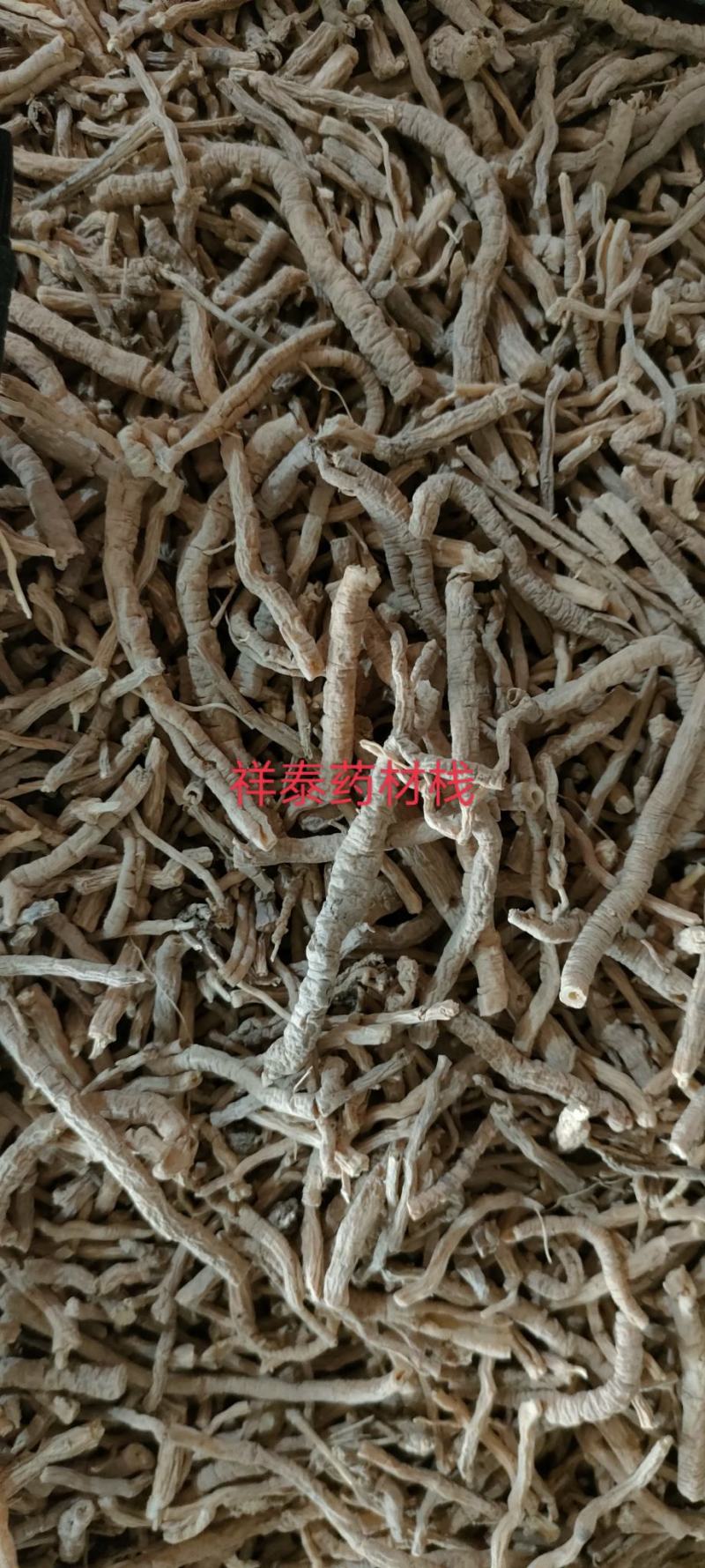 《热销》远志抽芯率20%（祥泰药材栈）中药材批发零售