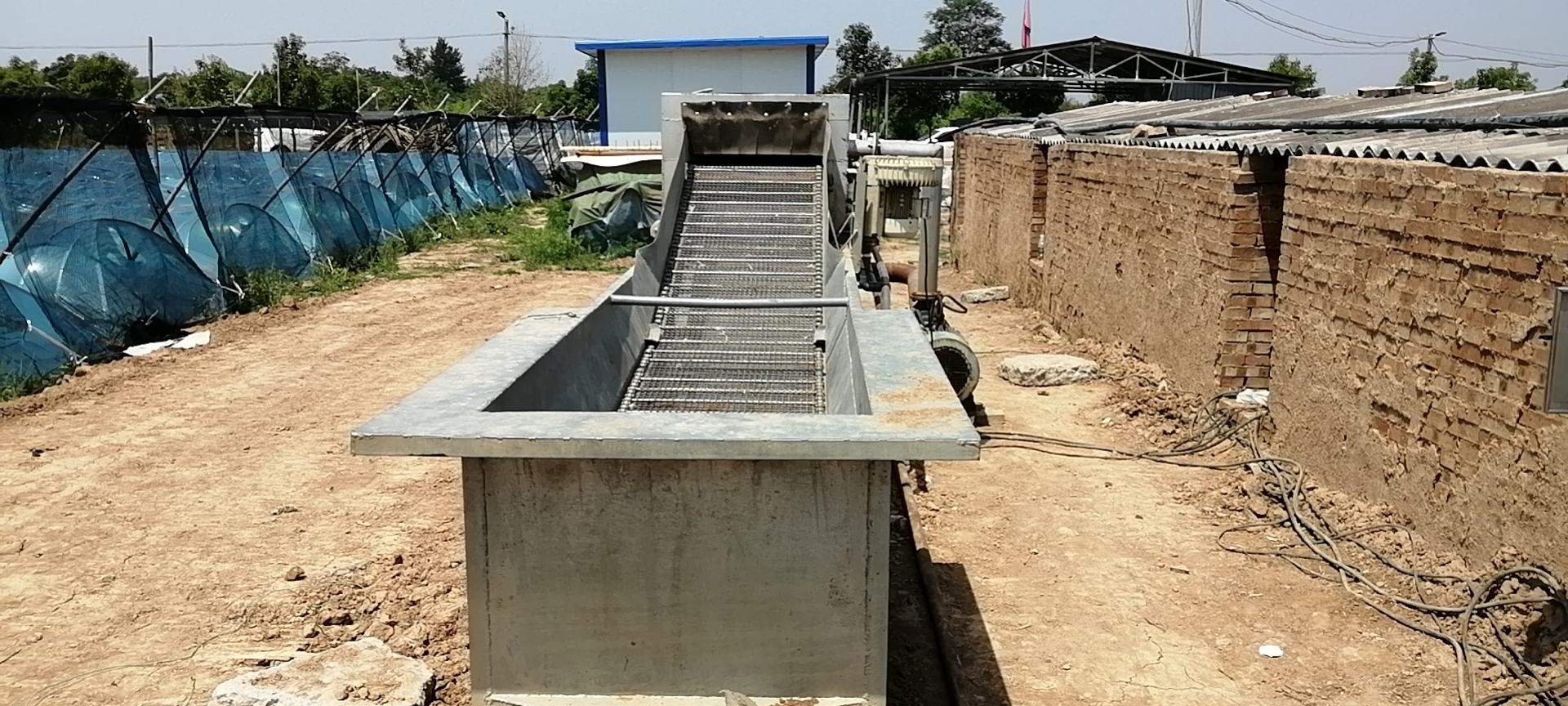 生姜储存方法示意图