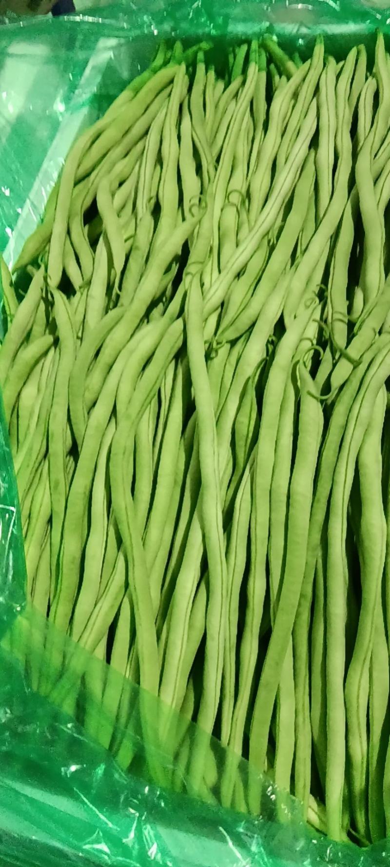 精品豆王