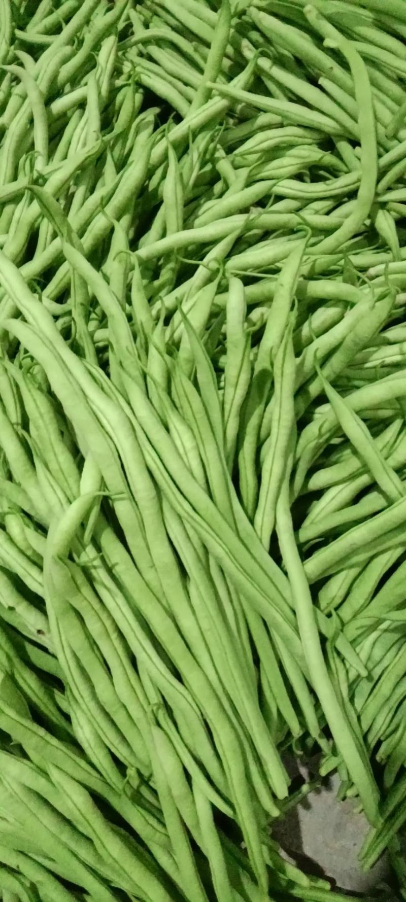精品豆王