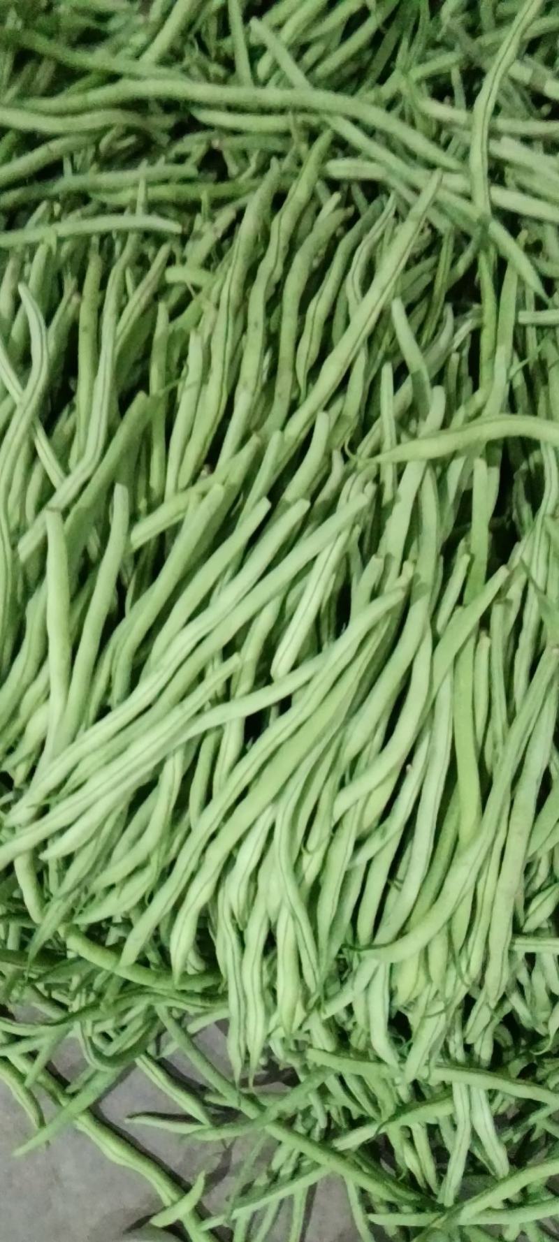 精品豆王