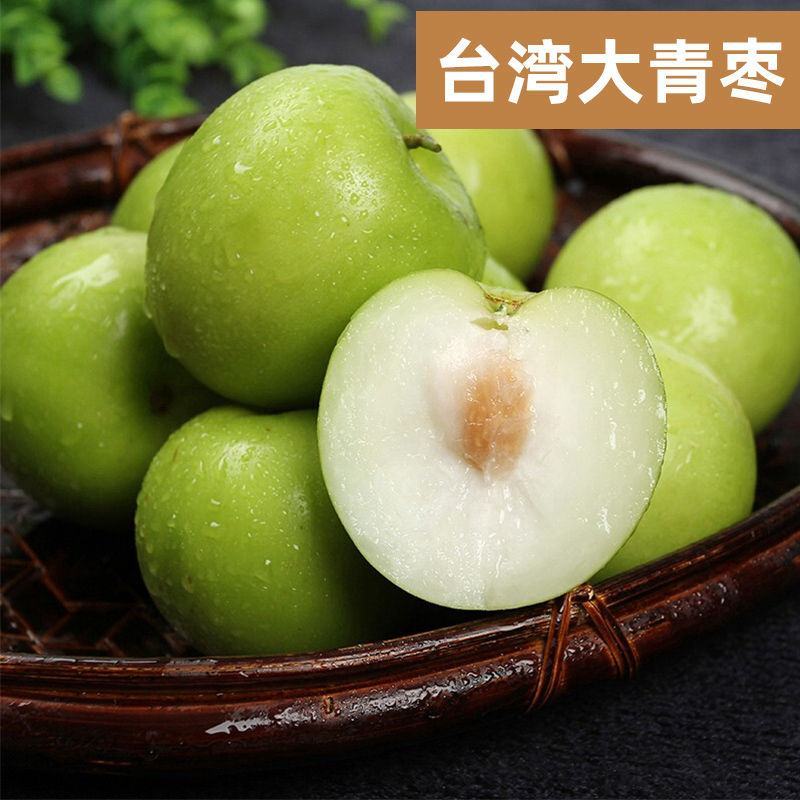 台湾大青枣果树苗南方种植嫁接苗庭院四季盆栽地栽水果苗当年