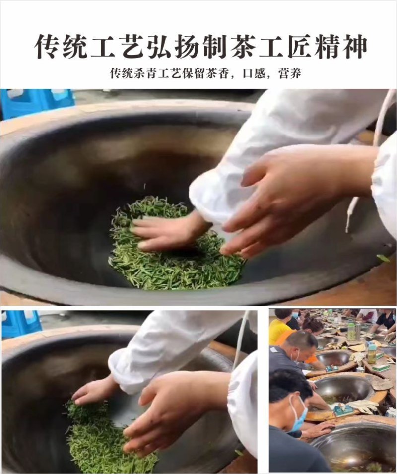 贵州茶，绿茶，明前福鼎翠芽，厂家直接供应