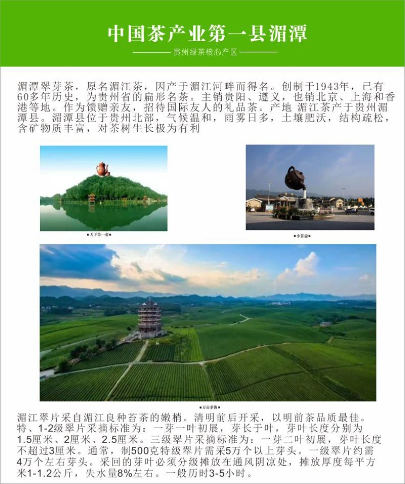 贵州茶，绿茶，明前福鼎翠芽，厂家直接供应