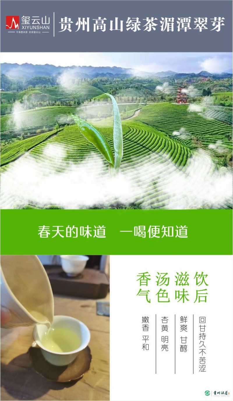 贵州茶，绿茶，明前福鼎翠芽，厂家直接供应