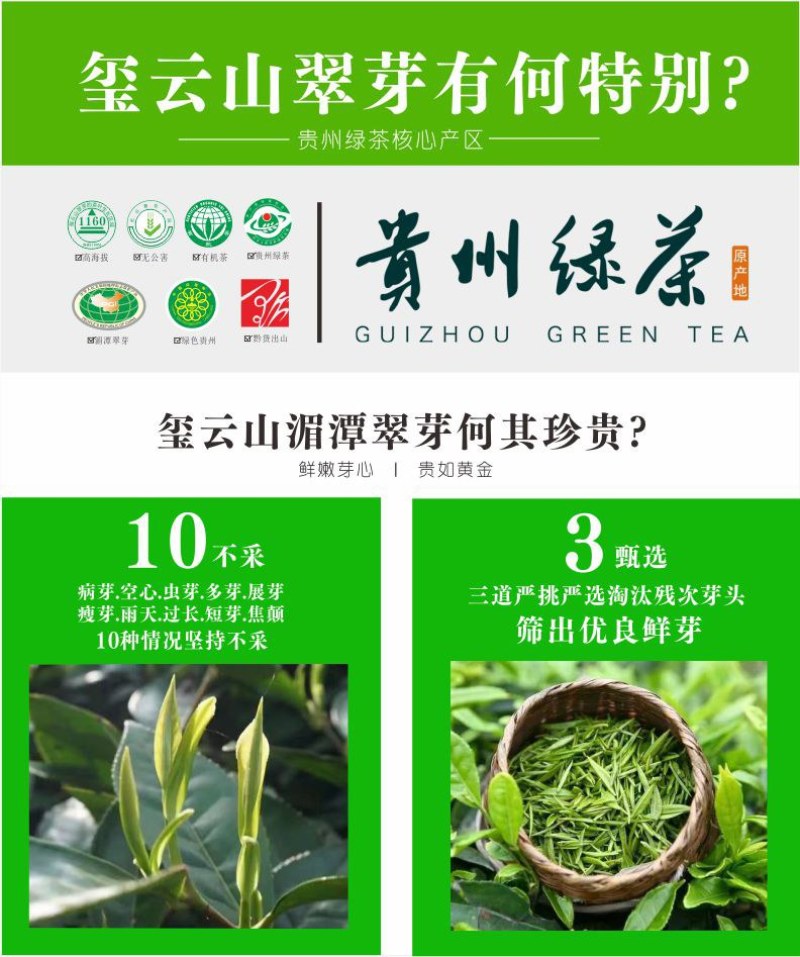 贵州茶，绿茶，明前福鼎翠芽，厂家直接供应