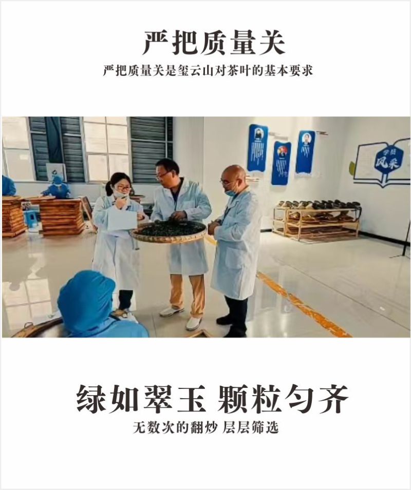 贵州茶，绿茶，明前福鼎翠芽，厂家直接供应