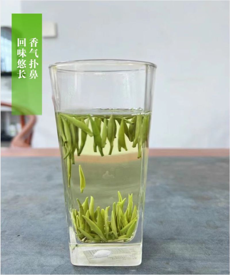 贵州茶，绿茶，明前福鼎翠芽，厂家直接供应