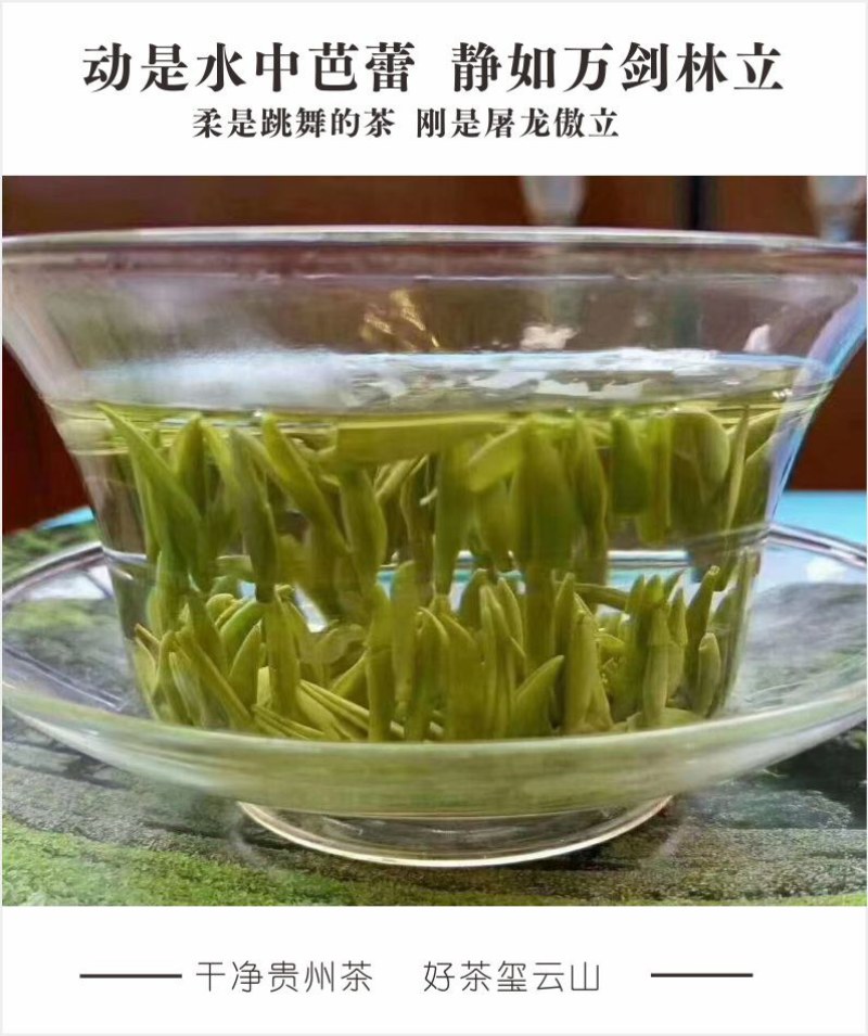 贵州茶，绿茶，明前福鼎翠芽，厂家直接供应