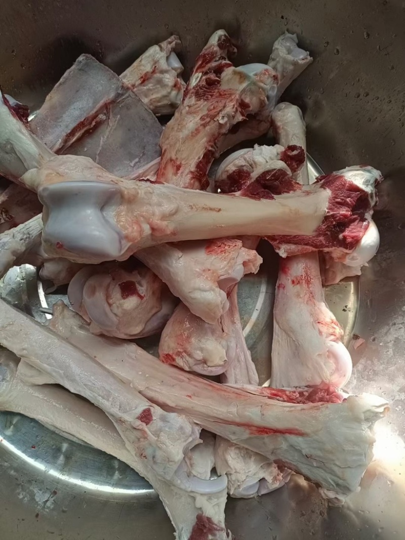 驴副产品带肉驴骨。带皮驴头。去皮驴头。驴心肝。驴蹄