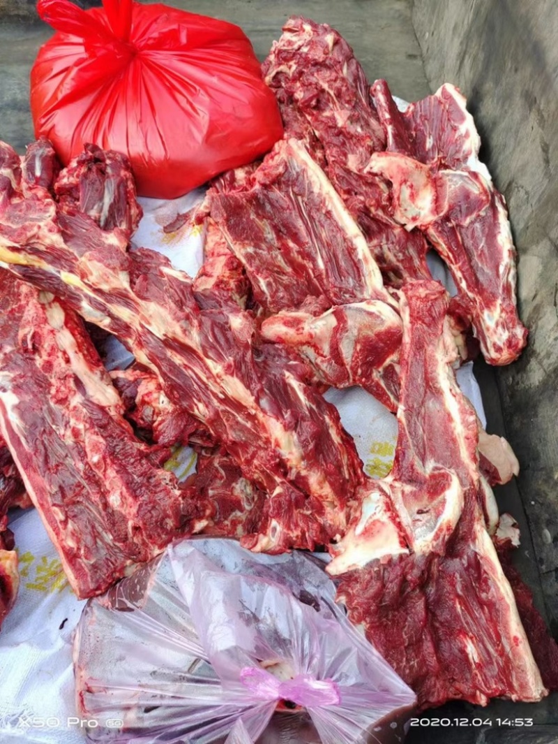 驴副产品带肉驴骨。带皮驴头。去皮驴头。驴心肝。驴蹄