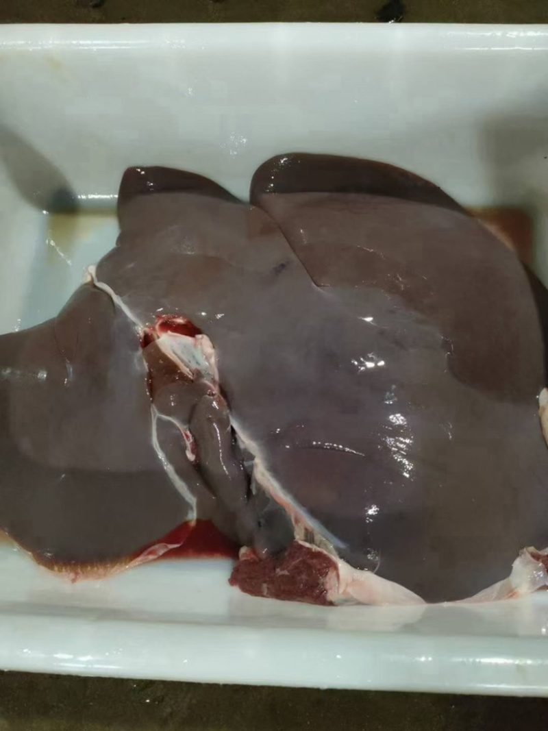驴副产品带肉驴骨。带皮驴头。去皮驴头。驴心肝。驴蹄