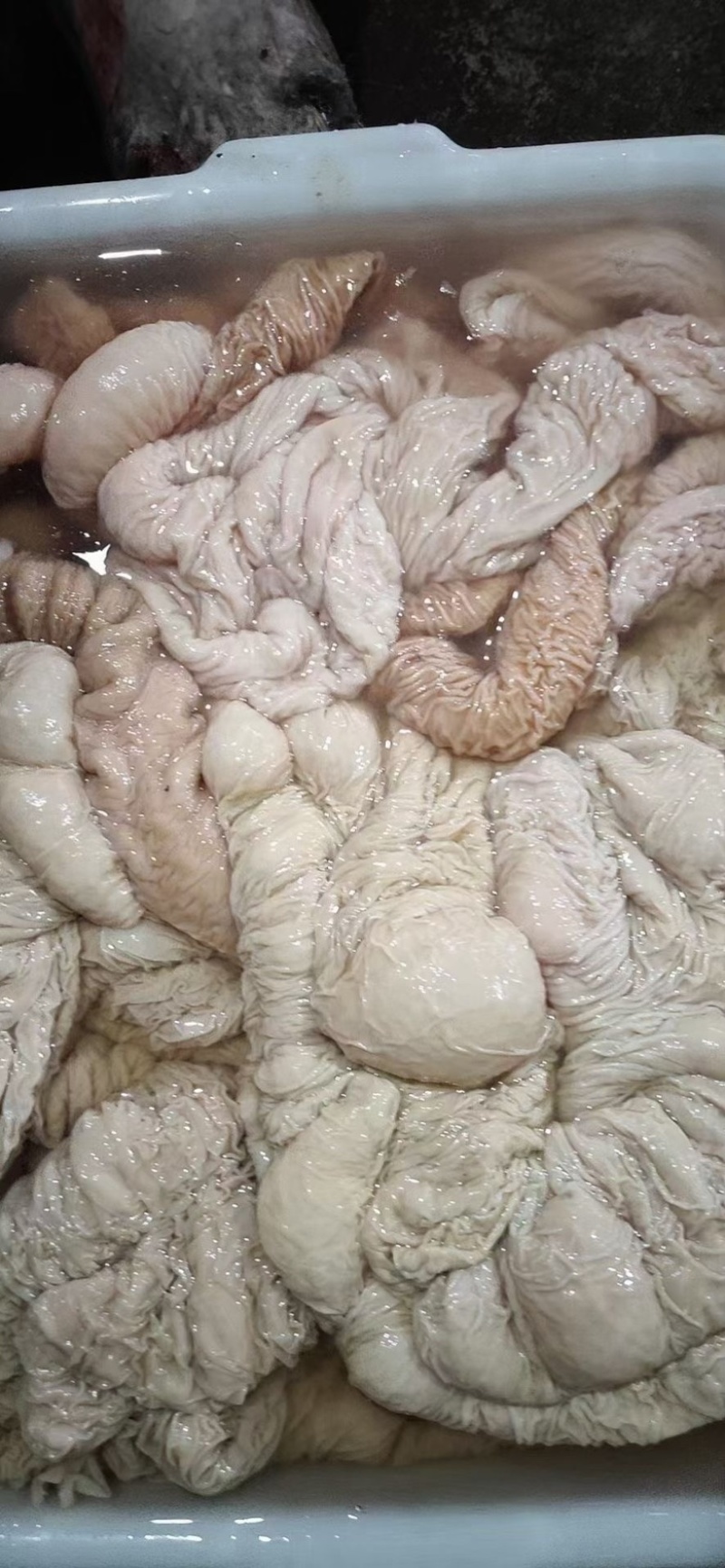 驴副产品带肉驴骨。带皮驴头。去皮驴头。驴心肝。驴蹄