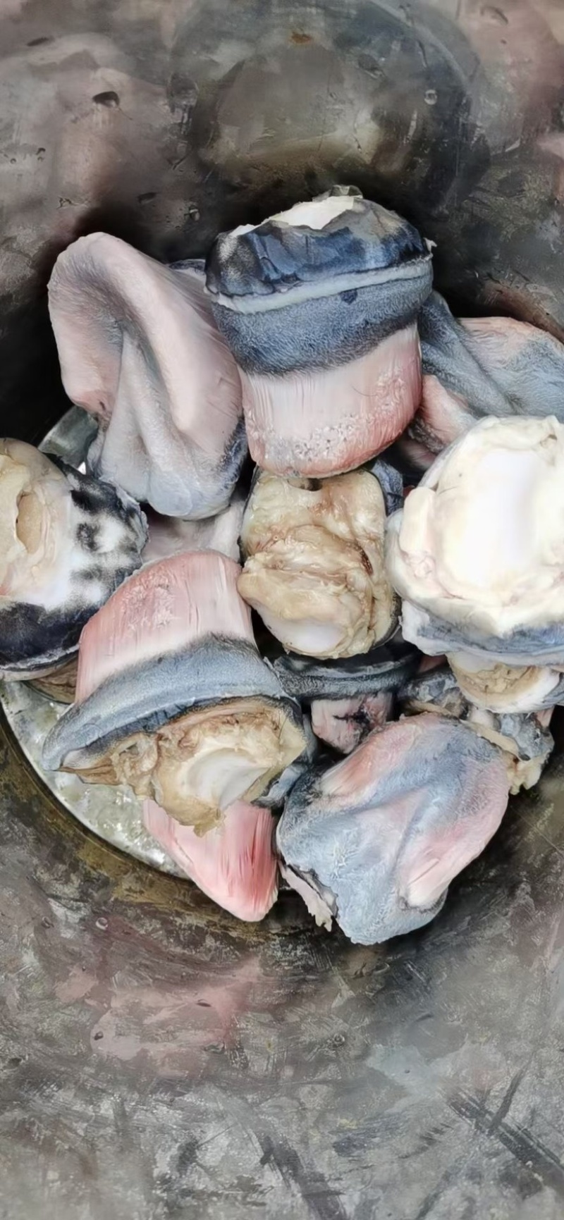 驴副产品带肉驴骨。带皮驴头。去皮驴头。驴心肝。驴蹄