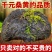 桑黄西藏批发桑黄长白山山货整枝可切片金边桑黄暴