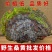 桑黄西藏批发桑黄长白山山货整枝可切片金边桑黄暴