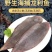 龙利鱼海捕龙利鱼鲜嫩美味刺少肉多源自深海海