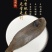 龙利鱼海捕龙利鱼鲜嫩美味刺少肉多源自深海海