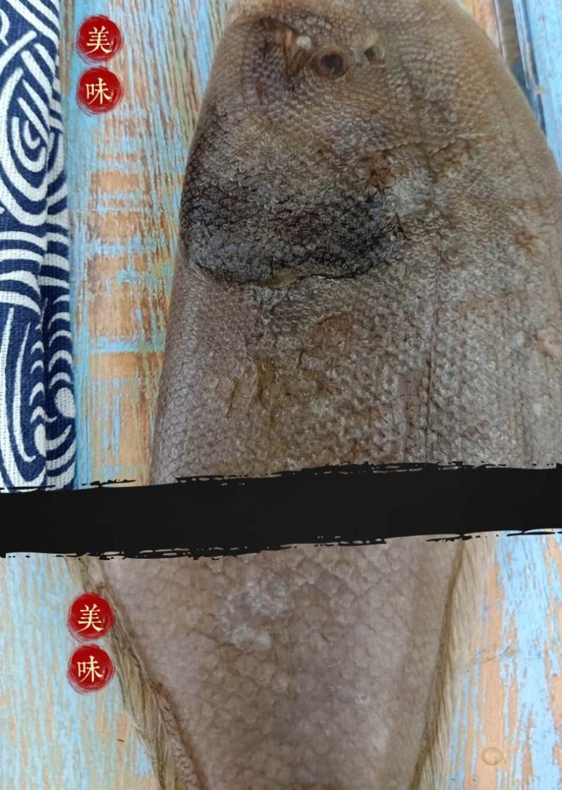 龙利鱼海捕龙利鱼鲜嫩美味刺少肉多源自深海海