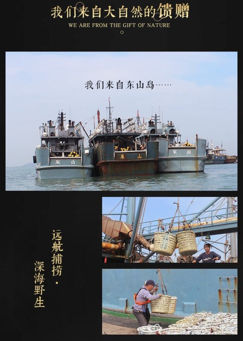 龙利鱼海捕龙利鱼鲜嫩美味刺少肉多源自深海海