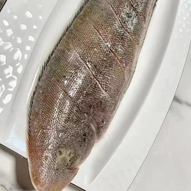 龙利鱼海捕龙利鱼鲜嫩美味刺少肉多源自深海海