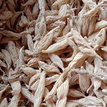 麦冬，2023年新货贵州野生麦冬批发零售品质保证欢迎订购