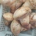 中国南华食用野生菌老人头（沙老包）