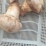 中国南华食用野生菌老人头（沙老包）