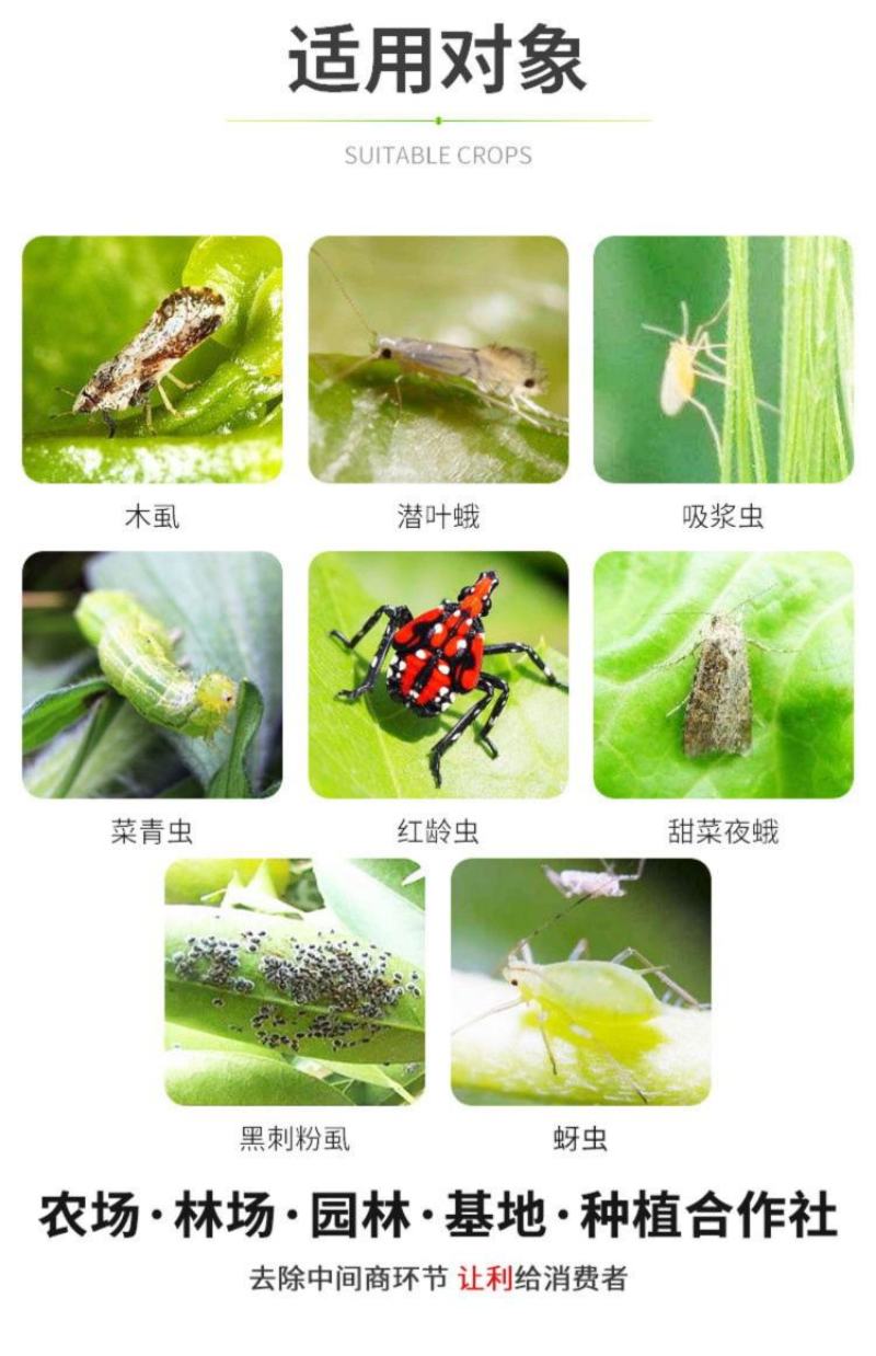 苦参碱蚜虫菜青虫白粉虱桃小食钻心虫小菜蛾绿叶蝉生物农药杀