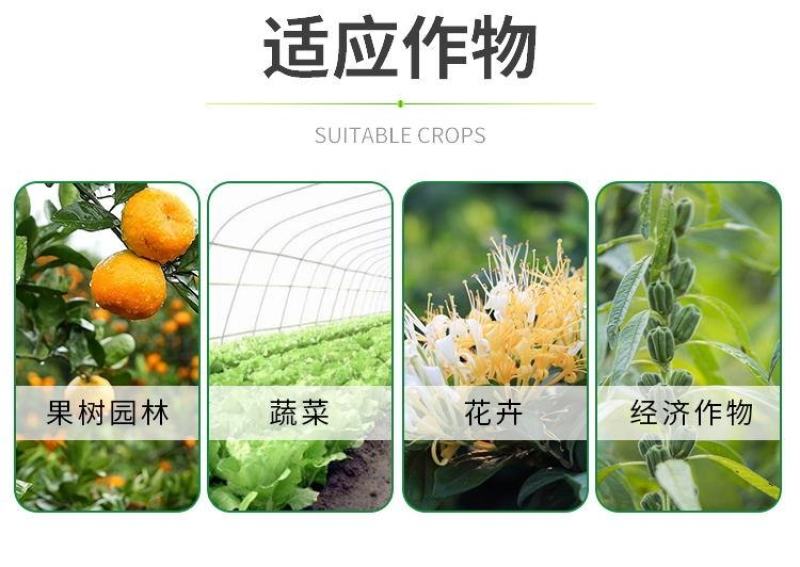 苦参碱蚜虫菜青虫白粉虱桃小食钻心虫小菜蛾绿叶蝉生物农药杀
