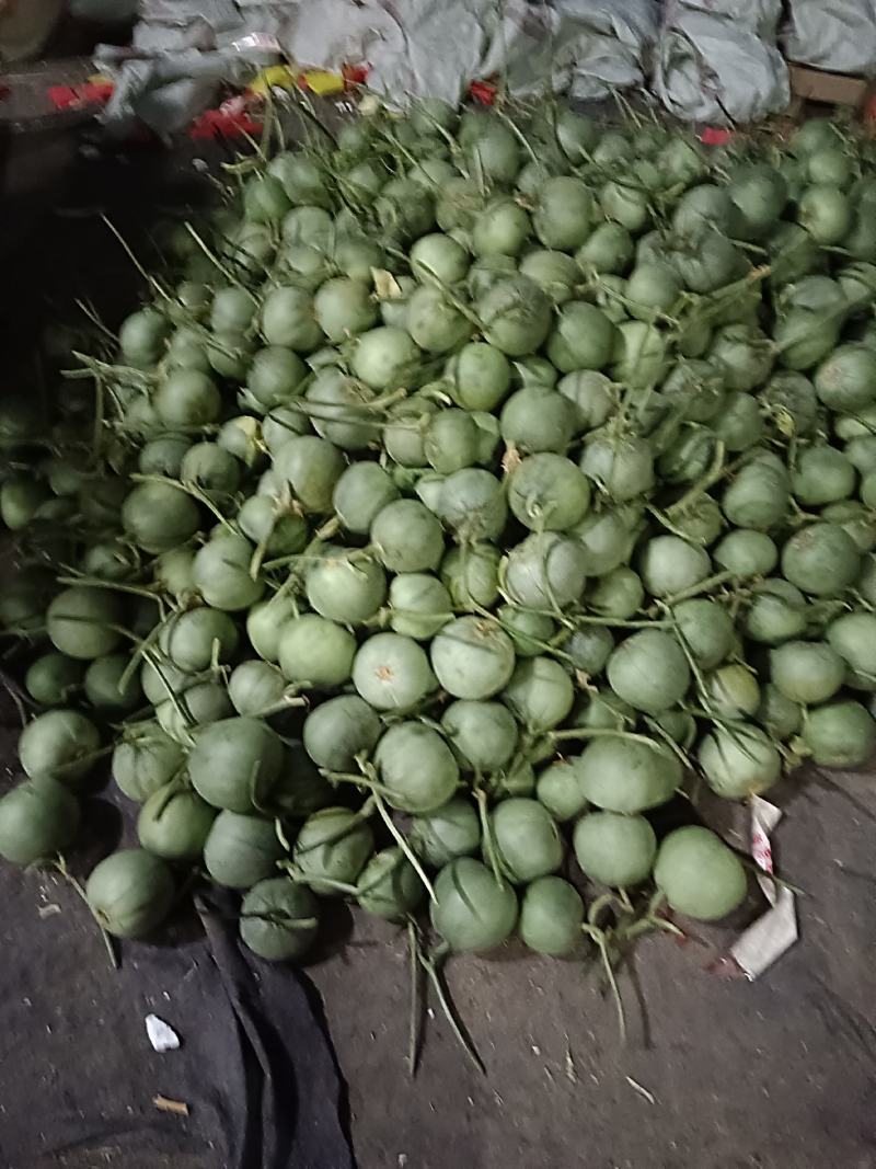 绿宝石甜瓜，产地直销，质量保证，价格不贵
