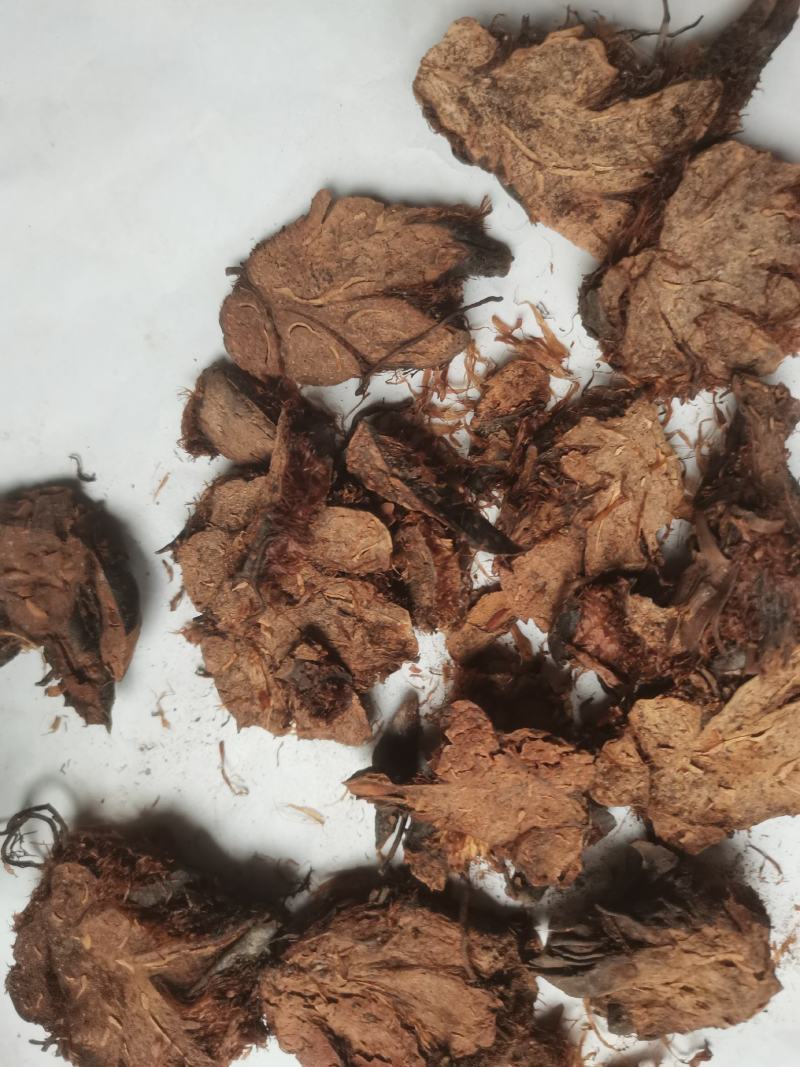贯众统货看规格下单绵贯众一件代发1000克起