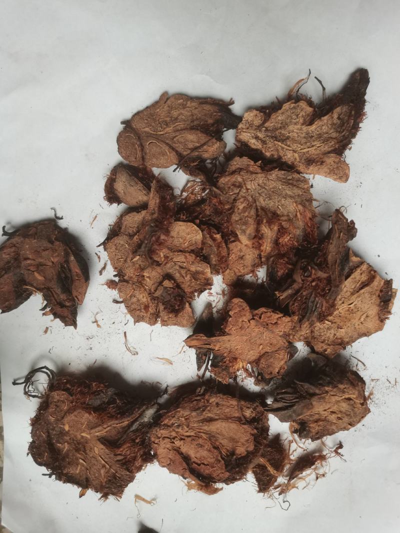 贯众统货看规格下单绵贯众一件代发1000克起