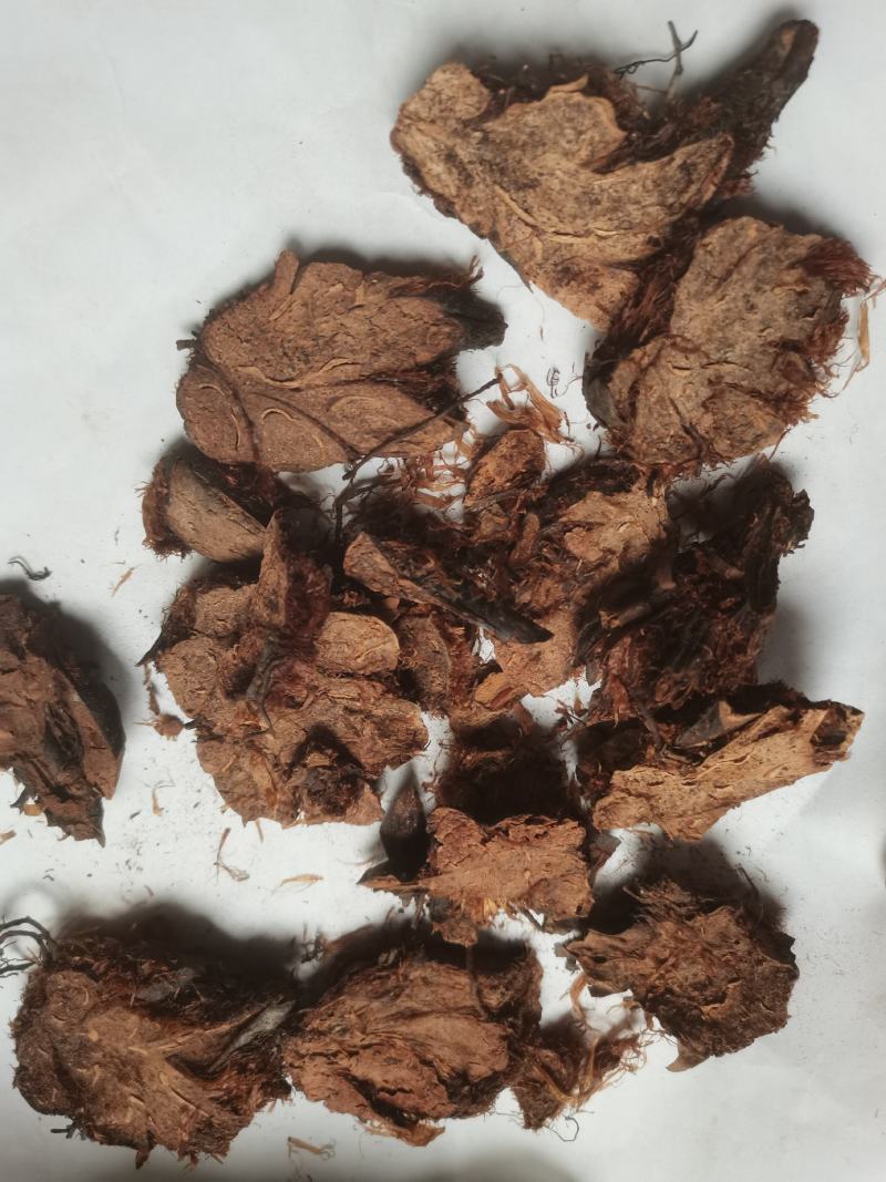 贯众统货看规格下单绵贯众一件代发1000克起