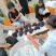 四川乐山巨峰葡萄新鲜上市啦量大从优