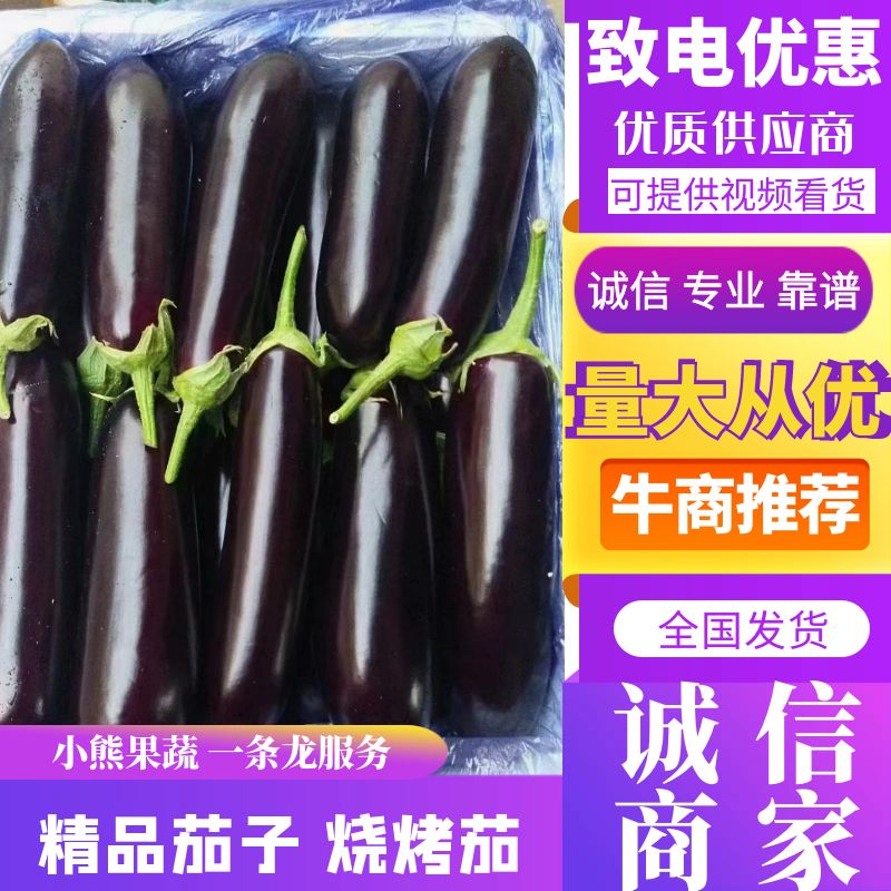 【推荐】茄子黑长茄烧烤茄黑宝茄产地直销商场直供
