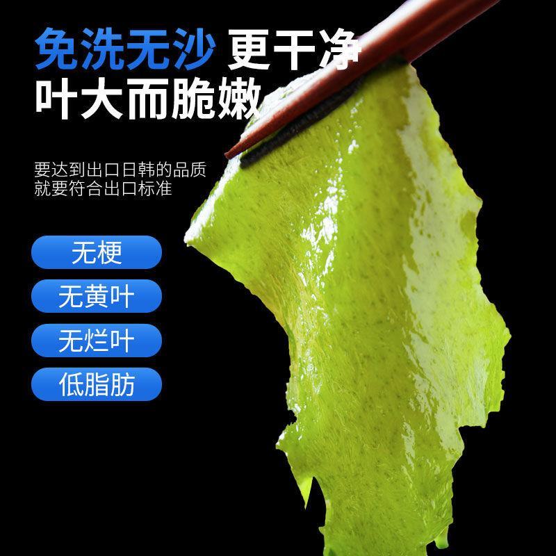 出口级别海裙带菜干，一袋90克，一份三袋子，快递包邮！