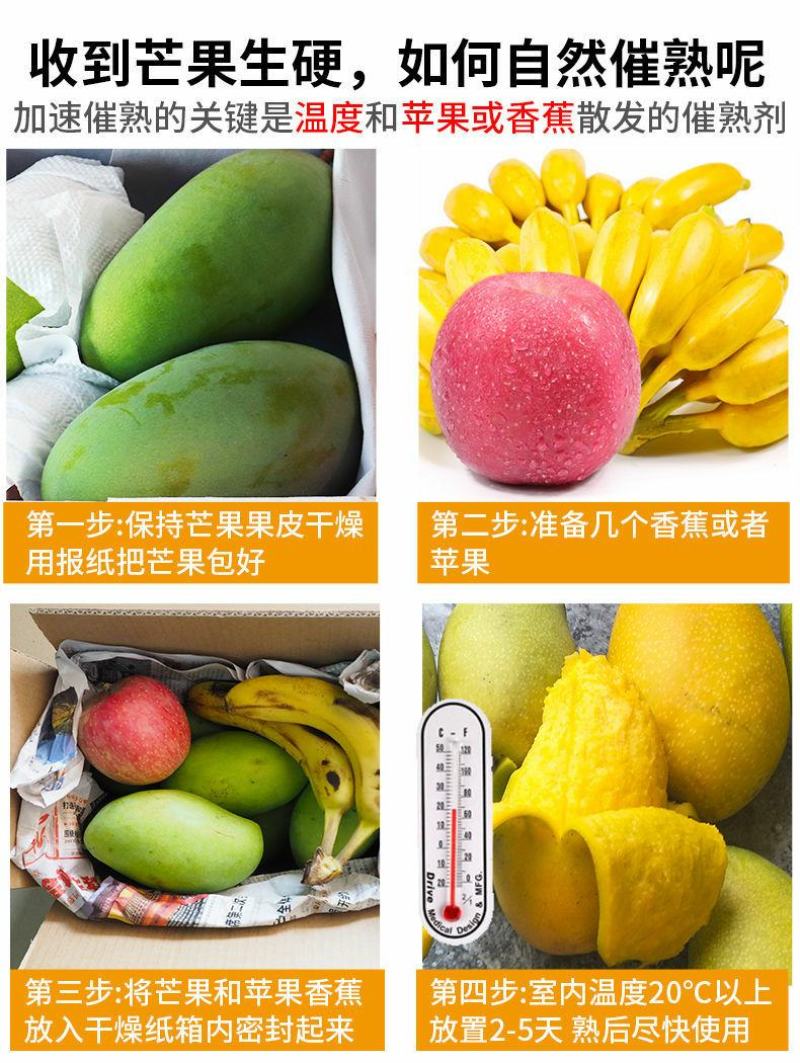 【现货】金煌芒果一级果大青芒非贵妃小台源头一件代发包邮