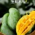 【现货】金煌芒果一级果大青芒非贵妃小台源头一件代发包邮