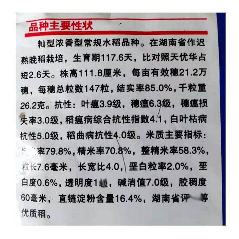 长粒优质香米稻种子农香42常规香米谷种晚稻种子二