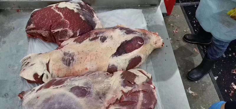 新疆本地草原散养牛，肉质一级棒，口感特别好！保证现杀新鲜