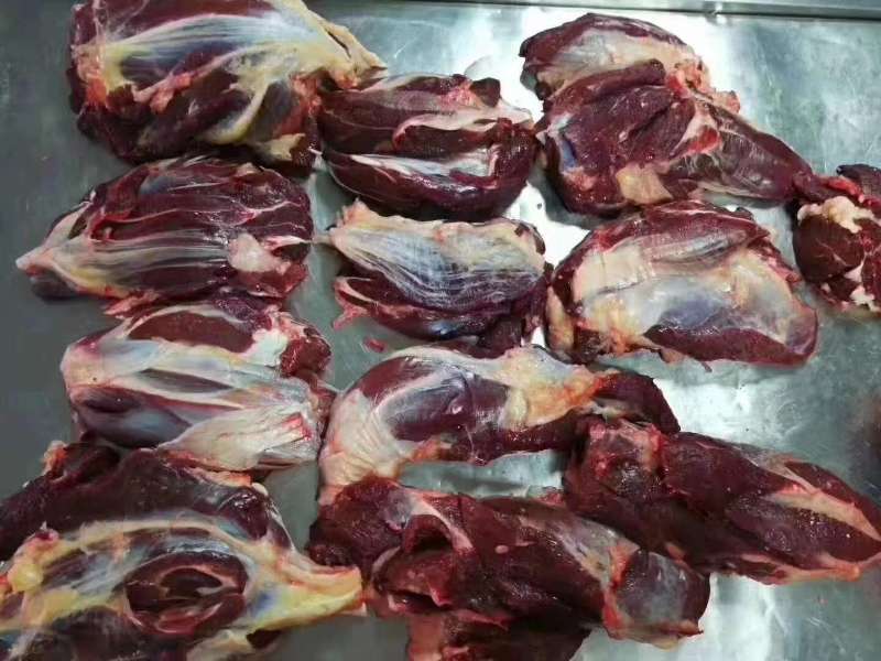 新疆本地草原散养牛，肉质一级棒，口感特别好！保证现杀新鲜